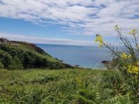 Jersey Küste &ndash; &copy; Beate Schroedter (Eberhardt TRAVEL)