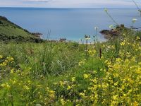 Jersey Küste &ndash; &copy; Beate Schroedter (Eberhardt TRAVEL)