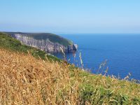 Cap Fréhel &ndash; &copy; Beate Schroedter (Eberhardt TRAVEL)