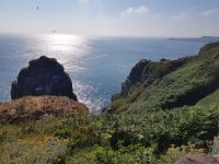 Cap Fréhel &ndash; &copy; Beate Schroedter (Eberhardt TRAVEL)