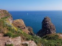 Cap Fréhel &ndash; &copy; Beate Schroedter (Eberhardt TRAVEL)