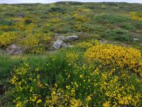 Pointe du Raz &ndash; &copy; Beate Schroedter (Eberhardt TRAVEL)
