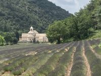Provence Intensiv - Die Abtei von Senanque &ndash; &copy; Ekkehard Villing (Eberhardt TRAVEL)