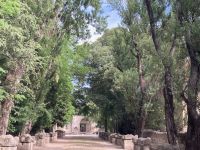 Provence Intensiv - Die Gräberstrasse Alyscamps in Arles &ndash; &copy; Ekkehard Villing (Eberhardt TRAVEL)