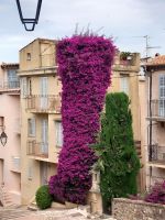 Cannes &ndash; &copy; Wolfgang Kowalewski (Eberhardt TRAVEL)
