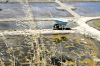 im Land des Salzes &ndash; &copy; Gina Egenolf (Eberhardt TRAVEL)