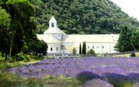 Kloster Senanque &ndash; &copy; Gina Egenolf (Eberhardt TRAVEL)