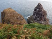 Cap Fréhel &ndash; &copy; Beate Schroedter (Eberhardt TRAVEL)