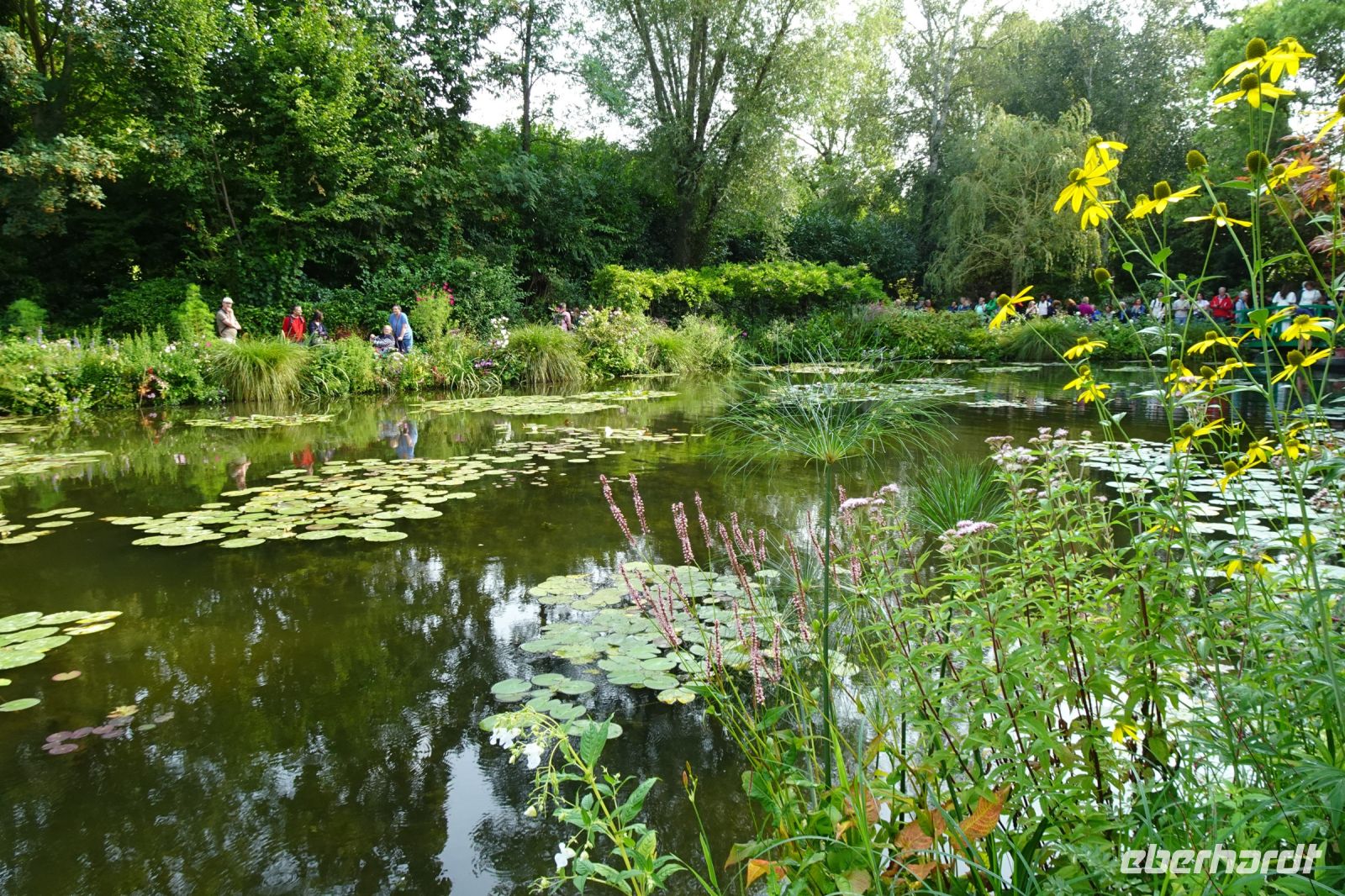 Tag 3, 19.08.2024 Giverny, Gärten von Monet  &ndash; &copy; Gabriele Sauer (Eberhardt TRAVEL)