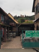 in Kintzheim