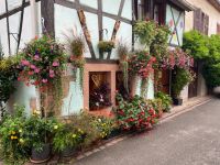 Blumendetails &ndash; &copy; G. Adamietz (Eberhardt TRAVEL)