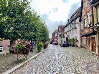 morgens in Bergheim