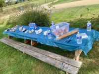 RADREISE LOIRE 3.-11.9.24: Picknick bei EBERHARDTs &ndash; &copy; Ekkehard Villing (Eberhardt TRAVEL)