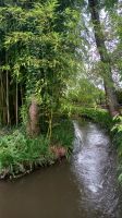 In Monets Garten