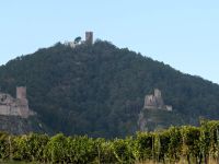 die 3 Burgen bei Ribeauvillé &ndash; &copy; Gina Egenolf (Eberhardt TRAVEL)