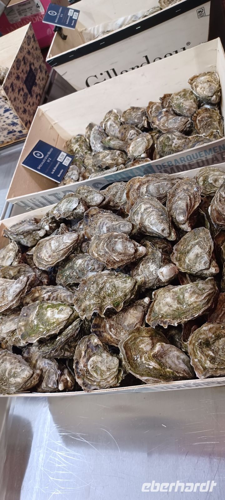 Markthalle -Austern &ndash; &copy; Ute Solf (Eberhardt TRAVEL)