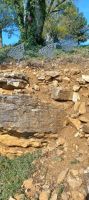 der nährstoffhaltige Kalkboden für die Rebstöcke &ndash; &copy; Ute Solf (Eberhardt TRAVEL)