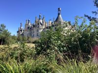 Chambord &ndash; &copy; Roswitha Zytowski (Eberhardt TRAVEL)