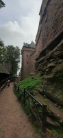 Hochkönigsburg &ndash; &copy; Kerstin Hugel (Eberhardt TRAVEL)