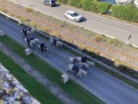 …bei der Arbeit. &ndash; &copy; Roswitha Zytowski (Eberhardt TRAVEL)