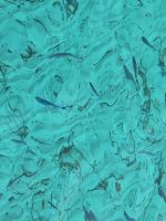 20241014_142936, was da wohl für Fische im Wasser schwimmen?.jpg &ndash; &copy; Claudia Hartwich (Eberhardt TRAVEL)