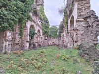 20241016_134412, Ruine des Klosters St. Francois d'Orezza.jpg &ndash; &copy; Claudia Hartwich (Eberhardt TRAVEL)