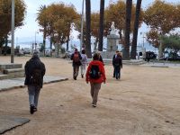 20241017_090422, Herbststimmung und Laubfärbung.jpg &ndash; &copy; Claudia Hartwich (Eberhardt TRAVEL)