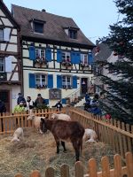Eguisheim &ndash; &copy; Wolfgang Kowalewski (Eberhardt TRAVEL)