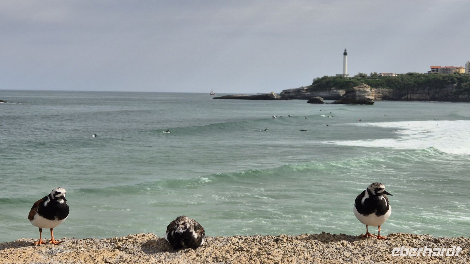 Biarritz &ndash; &copy; Sinah Witzig (Eberhardt TRAVEL)