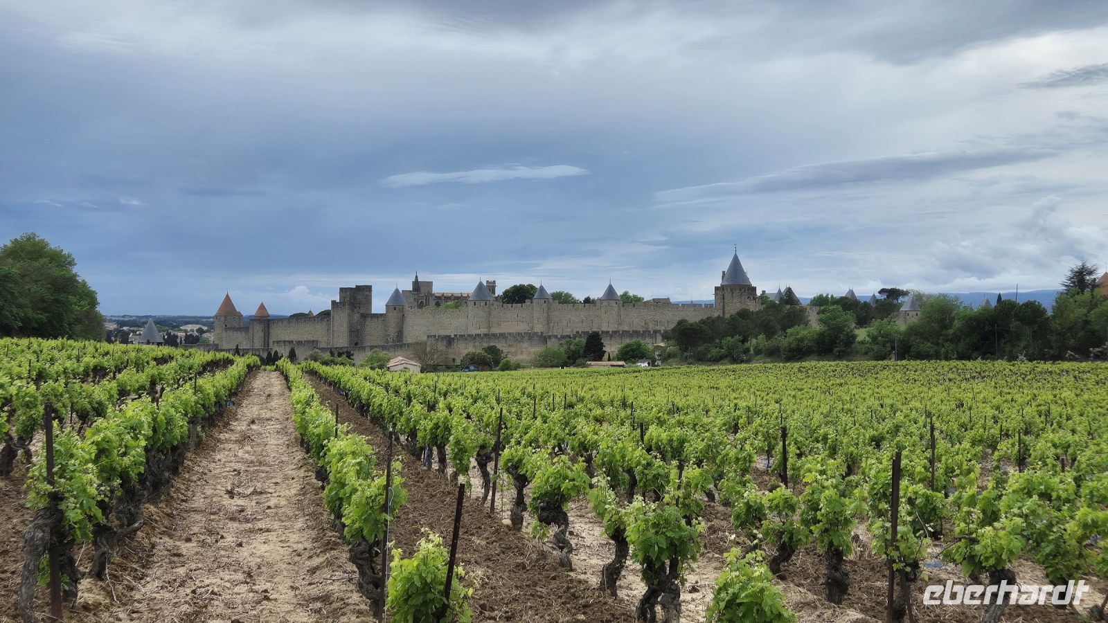 Carcassonne &ndash; &copy; Sinah Witzig (Eberhardt TRAVEL)
