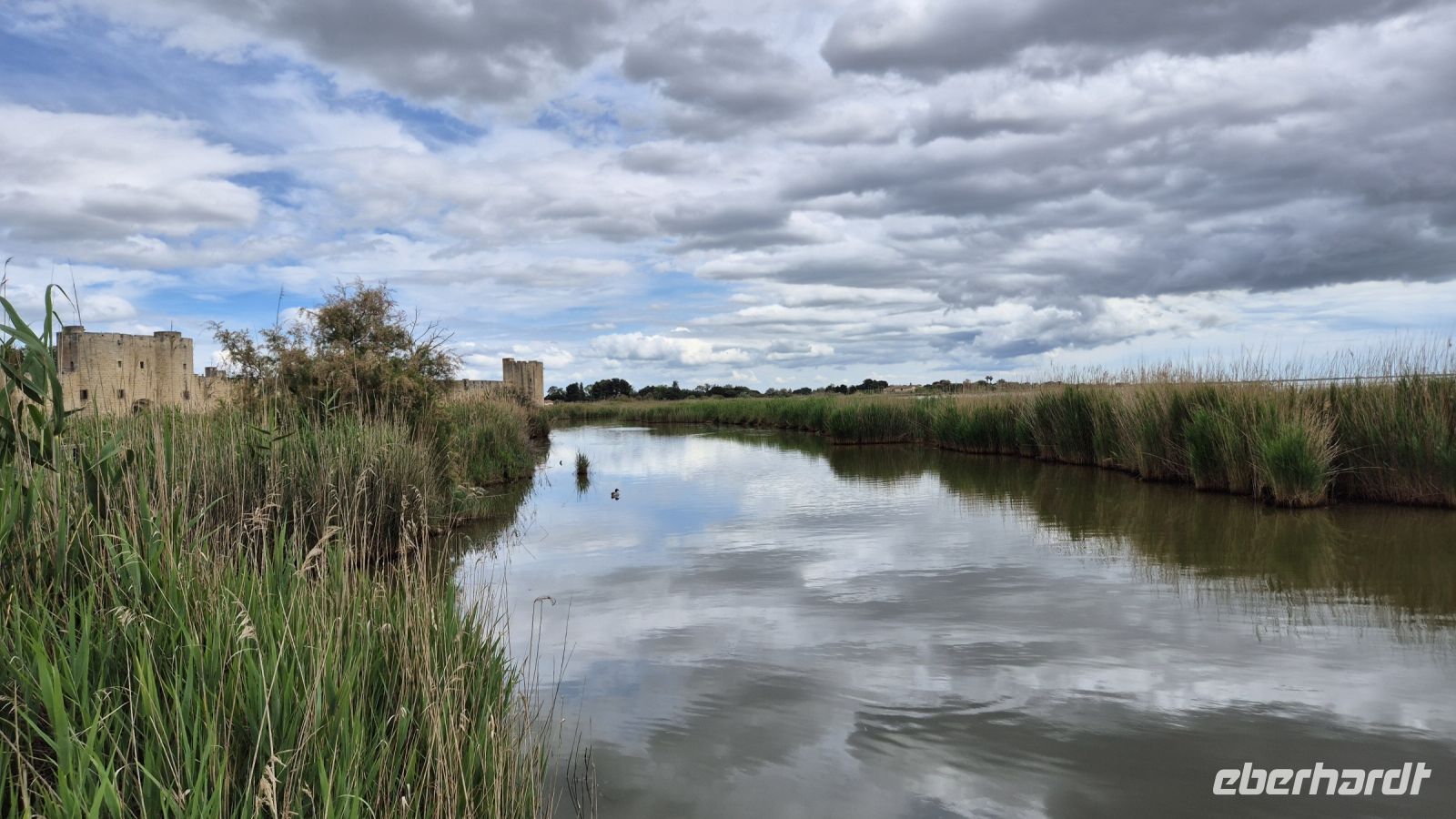 Camargue &ndash; &copy; Sinah Witzig (Eberhardt TRAVEL)