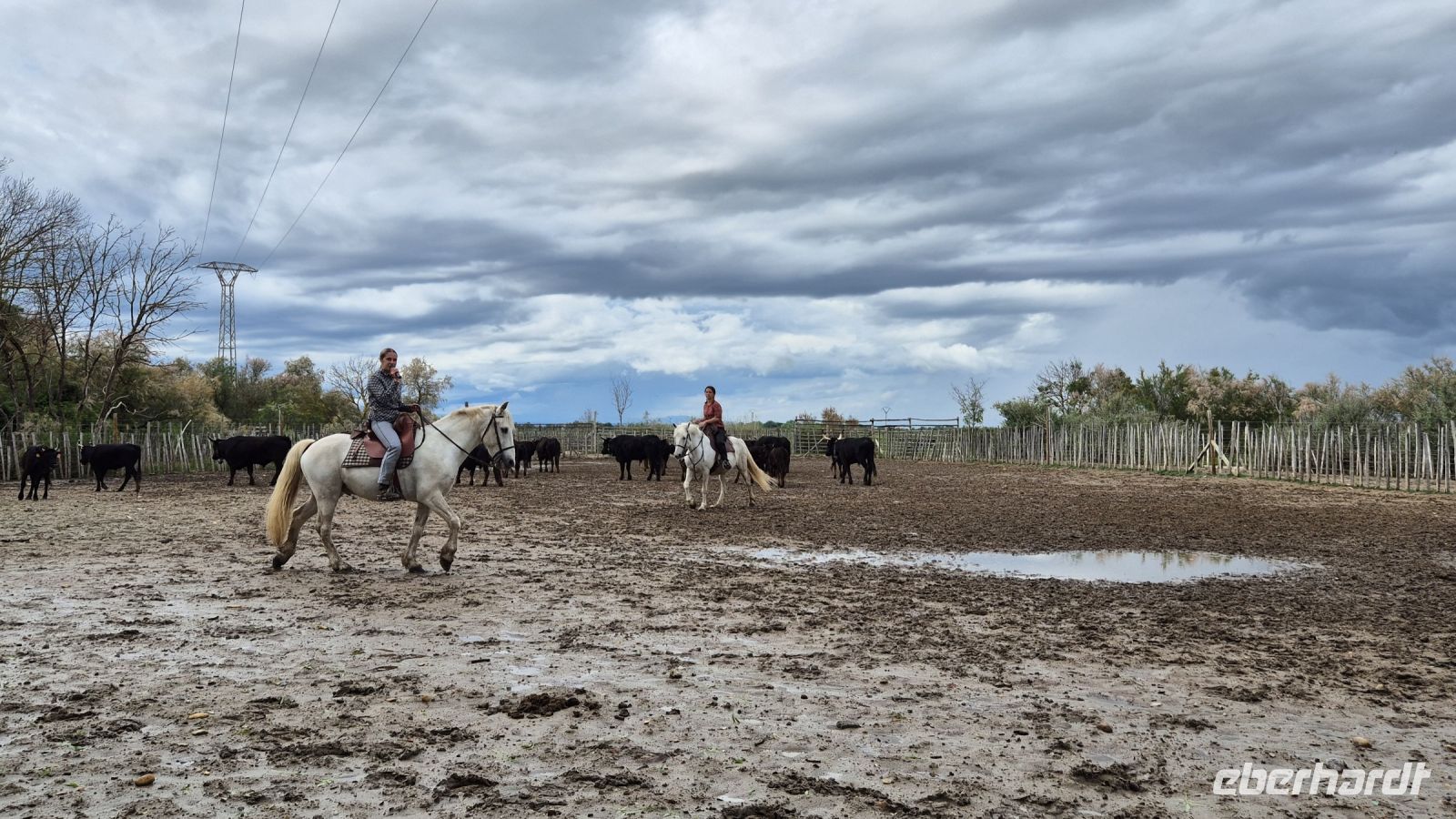 Camargue: Manade &ndash; &copy; Sinah Witzig (Eberhardt TRAVEL)