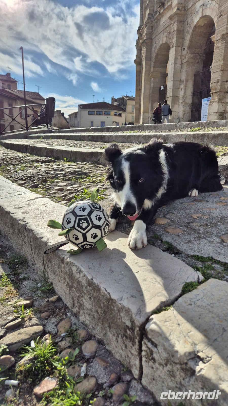Arles &ndash; &copy; Sinah Witzig (Eberhardt TRAVEL)