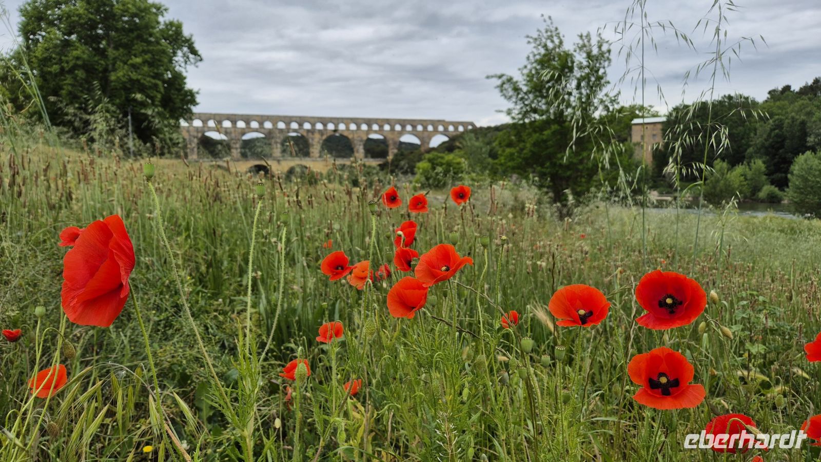 Pont du Gard &ndash; &copy; Sinah Witzig (Eberhardt TRAVEL)