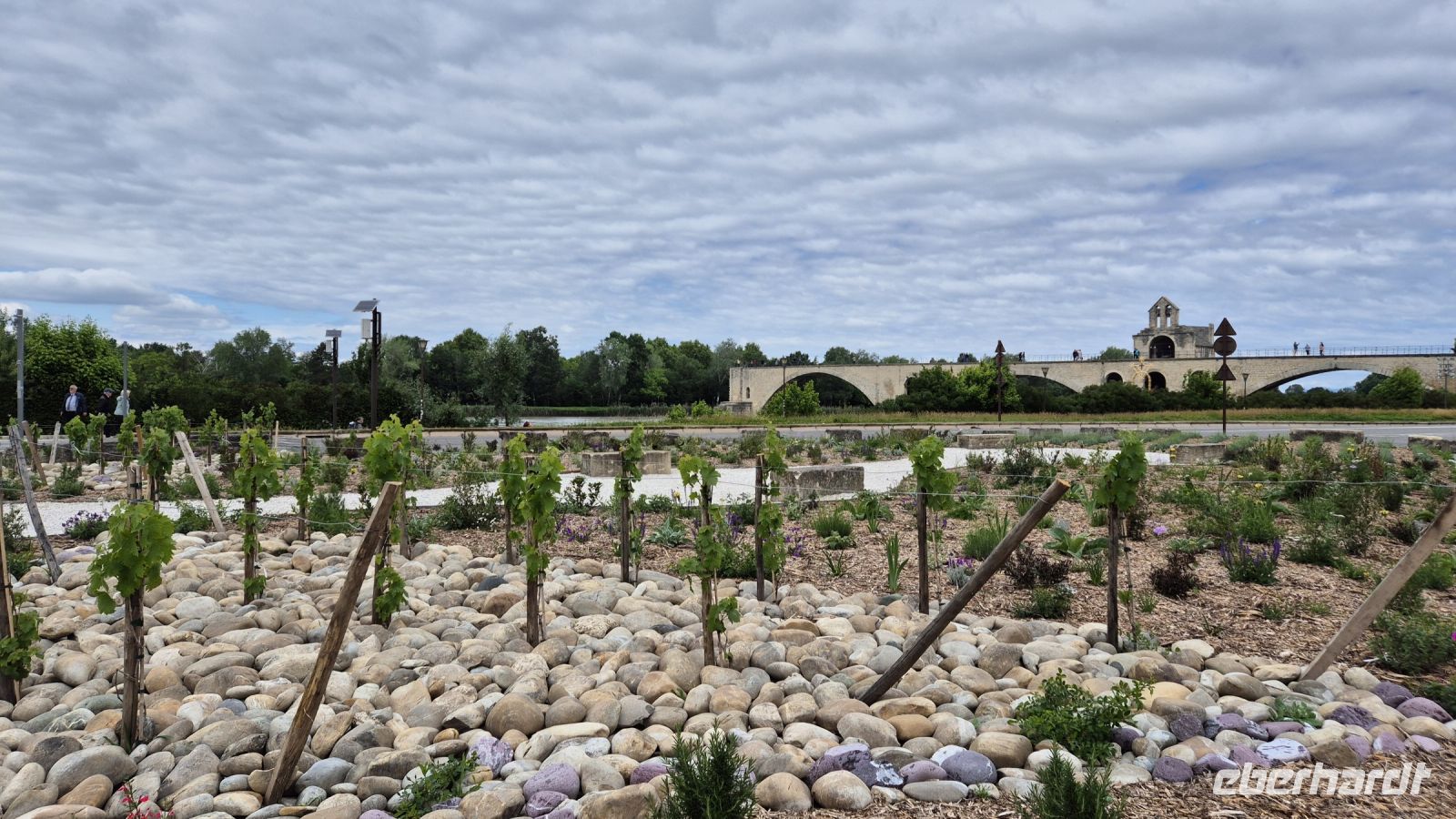 Avignon: Pont de Saint-Bénezet &ndash; &copy; Sinah Witzig (Eberhardt TRAVEL)