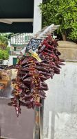 Piment d'Espelette &ndash; &copy; Sinah Witzig (Eberhardt TRAVEL)