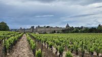 Carcassonne &ndash; &copy; Sinah Witzig (Eberhardt TRAVEL)