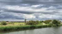 Camargue &ndash; &copy; Sinah Witzig (Eberhardt TRAVEL)