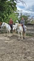 Camargue: Manade  &ndash; &copy; Sinah Witzig (Eberhardt TRAVEL)