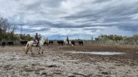 Camargue: Manade &ndash; &copy; Sinah Witzig (Eberhardt TRAVEL)