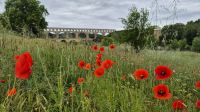 Pont du Gard &ndash; &copy; Sinah Witzig (Eberhardt TRAVEL)