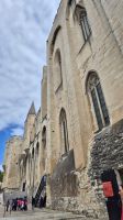 Avignon: Papstpalast &ndash; &copy; Sinah Witzig (Eberhardt TRAVEL)