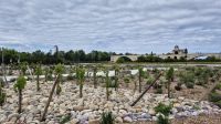 Avignon: Pont de Saint-Bénezet &ndash; &copy; Sinah Witzig (Eberhardt TRAVEL)
