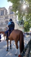 Tag 03 Besichtigung von Notre Dame 05 Feiertagsausritt der Garde Republicaine &ndash; &copy; Antje Kahnt (Eberhardt TRAVEL)