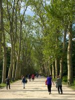 Radreise Loire vom 3.-11.5.25: Die Allee zum Schloss Chenonceau  &ndash; &copy; Ekkehard Villing (Eberhardt TRAVEL)