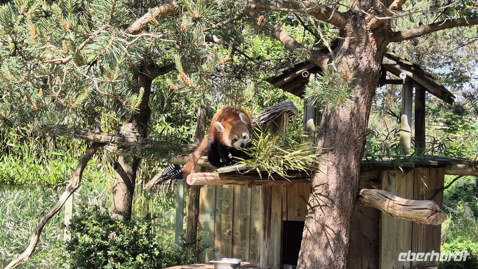 Jardin Zoologique de Champrépus &ndash; &copy; Sinah Witzig (Eberhardt TRAVEL)