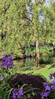 Giverny &ndash; &copy; Sinah Witzig (Eberhardt TRAVEL)