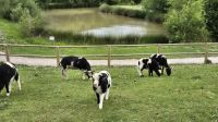 Caen: Colline des Oiseaux &ndash; &copy; Sinah Witzig (Eberhardt TRAVEL)