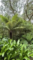 Jardin Botanique du Château de Vauville &ndash; &copy; Sinah Witzig (Eberhardt TRAVEL)
