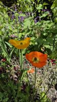 Jardin de Plantes Coutances &ndash; &copy; Sinah Witzig (Eberhardt TRAVEL)
